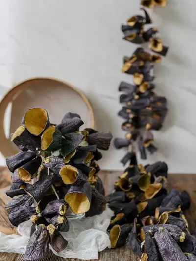 Dolmalık Patlıcan Kurusu 1 Dizi