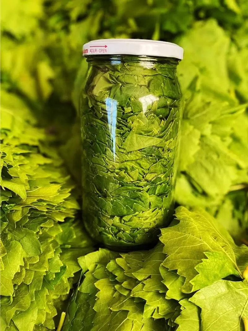 Kuru Basım Yaprak 1'lik Kavanoz