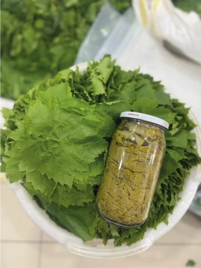 Kuru Basım Asma Yaprak 1'lik Kavanoz