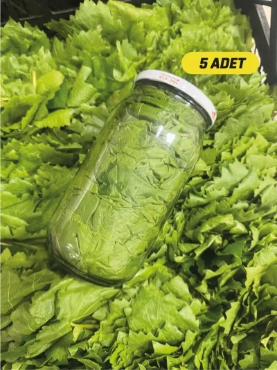 Kuru Basım Asma Yaprak 5x1'lik Kavanoz