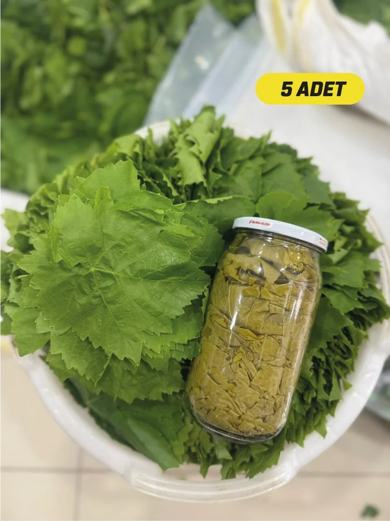 Kuru Basım Asma Yaprak 5x1'lik Kavanoz